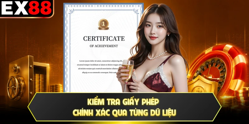 Kiểm tra giấy phép chính xác qua từng dữ liệu
