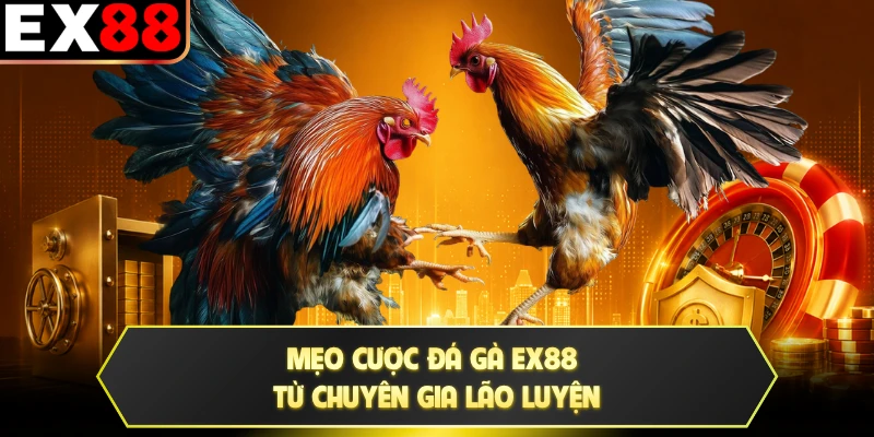 Mẹo cược đá gà EX88 từ chuyên gia lão luyện